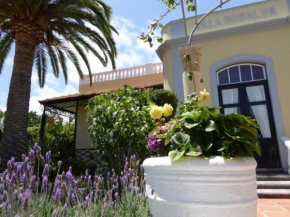 Schöne Wohnung mit Garten in Puerto De La Cruz